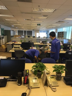 別墅滅鼠、滅蟑、滅蠅技術(shù)咨詢指南